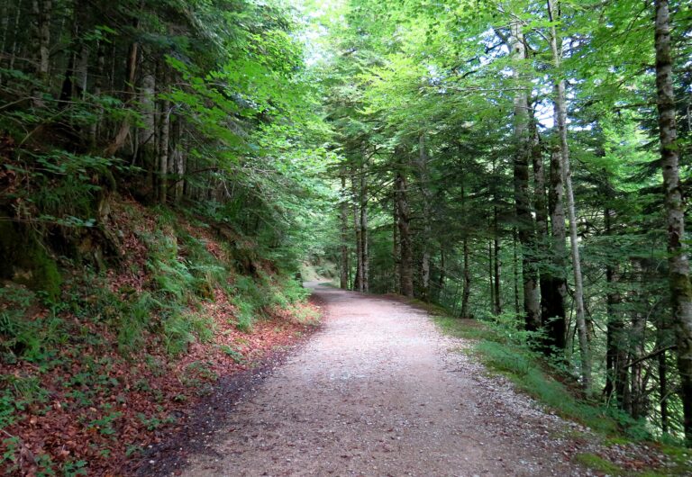 Escapadas de otoño en España: los bosques y pueblos más bonitos