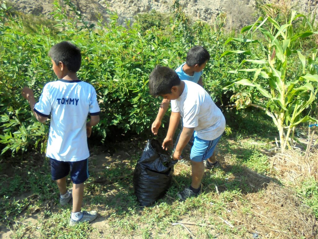 Niños en un taller de huerto ecológico